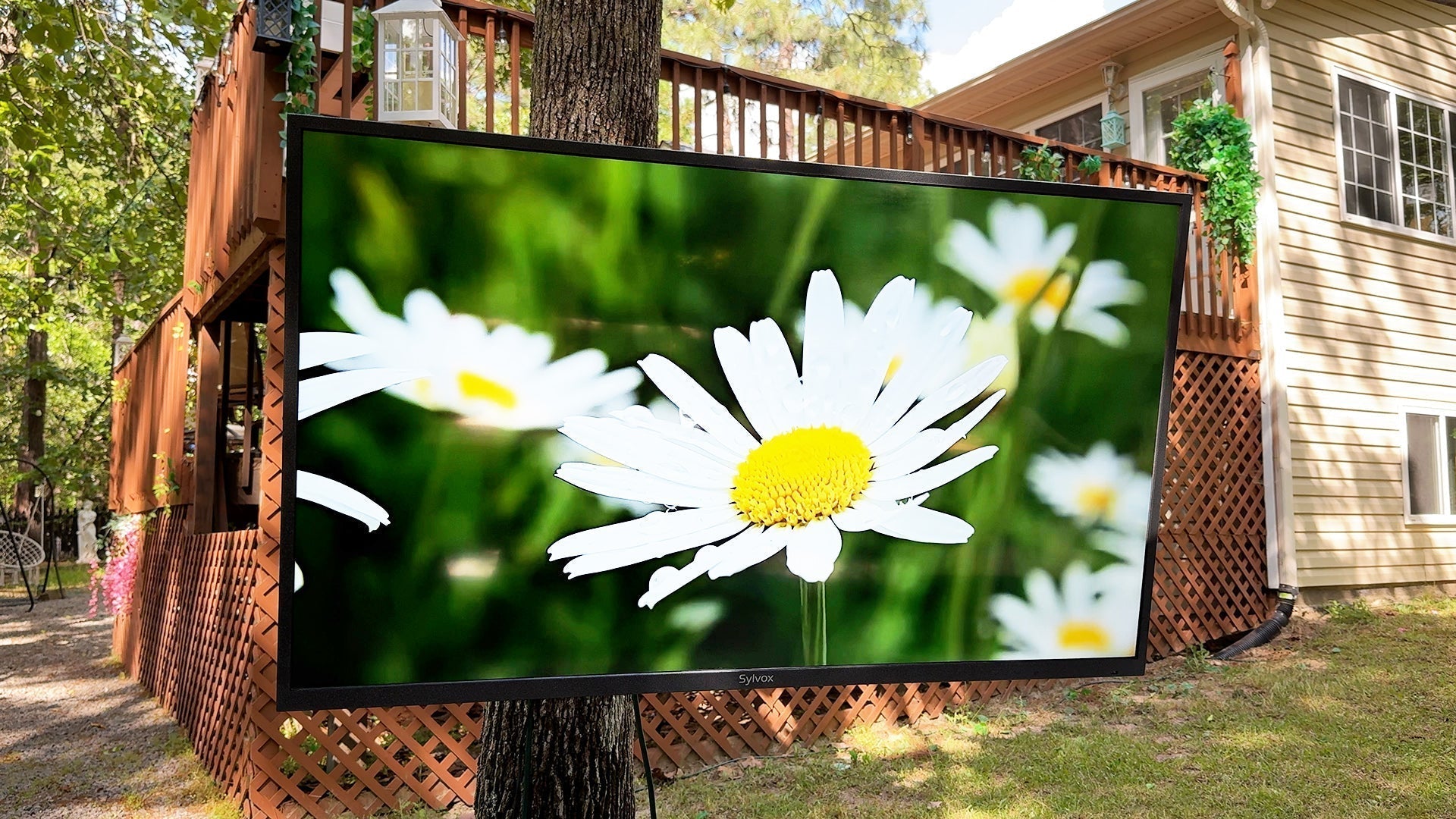 Sylvox 2000-nit outdoor TV displaying vivid movie under direct sunlight in backyard