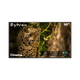 Sylvox Cinema 65" Helio QLED 120HZ Outdoor TV(2000Nits)-2025 Model