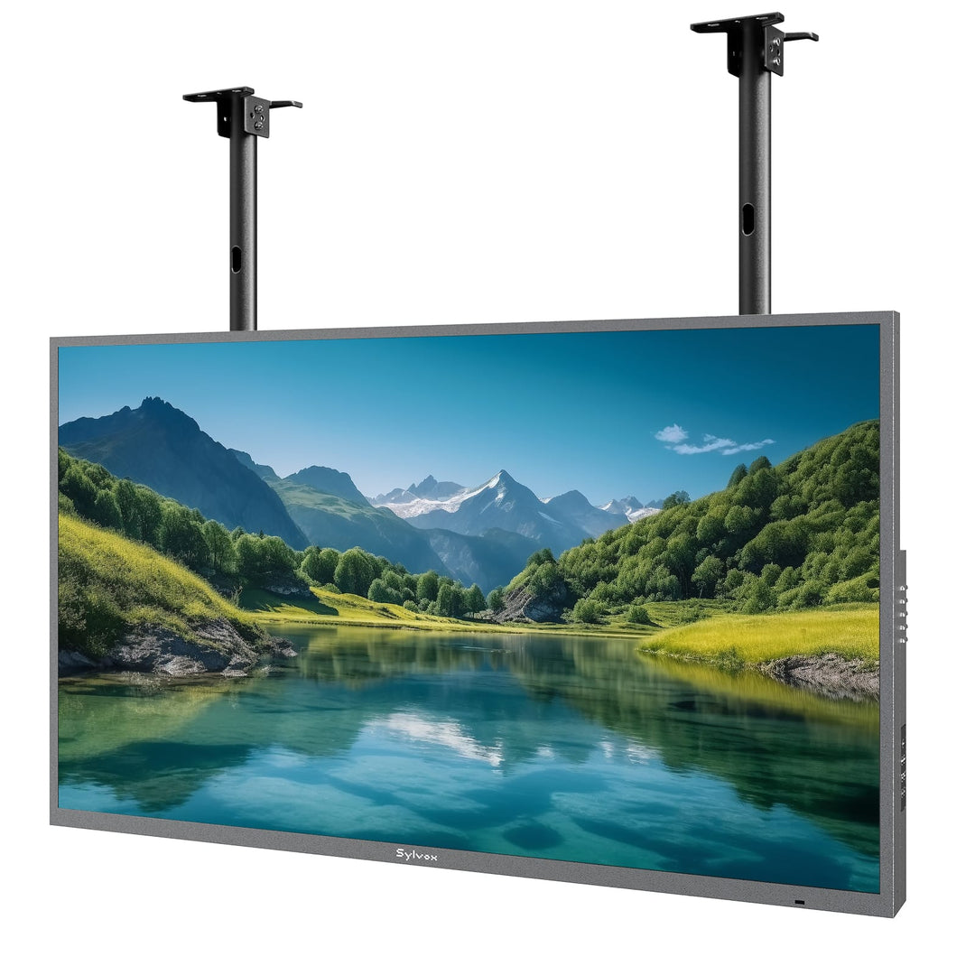 Outdoor TV Dual-Pole Ceiling Mount