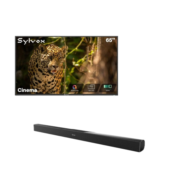 Sylvox Cinema 65" Helio QLED 120HZ Outdoor TV(2500Nits)-2025 Model