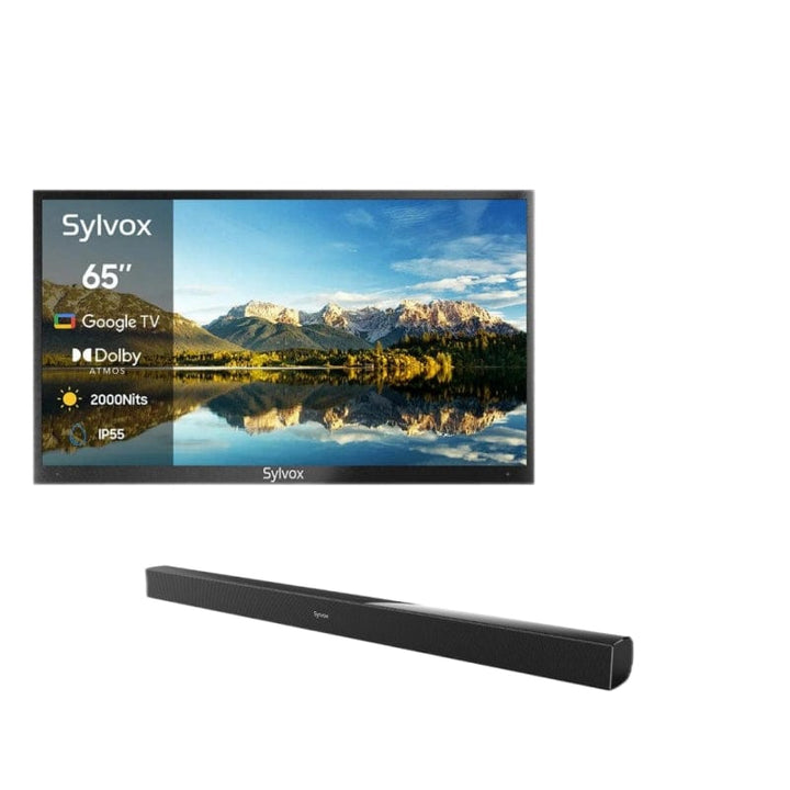 65" 2000Nit Google Outdoor TV - 2024 Pool Pro 2.0 Series(NEW)