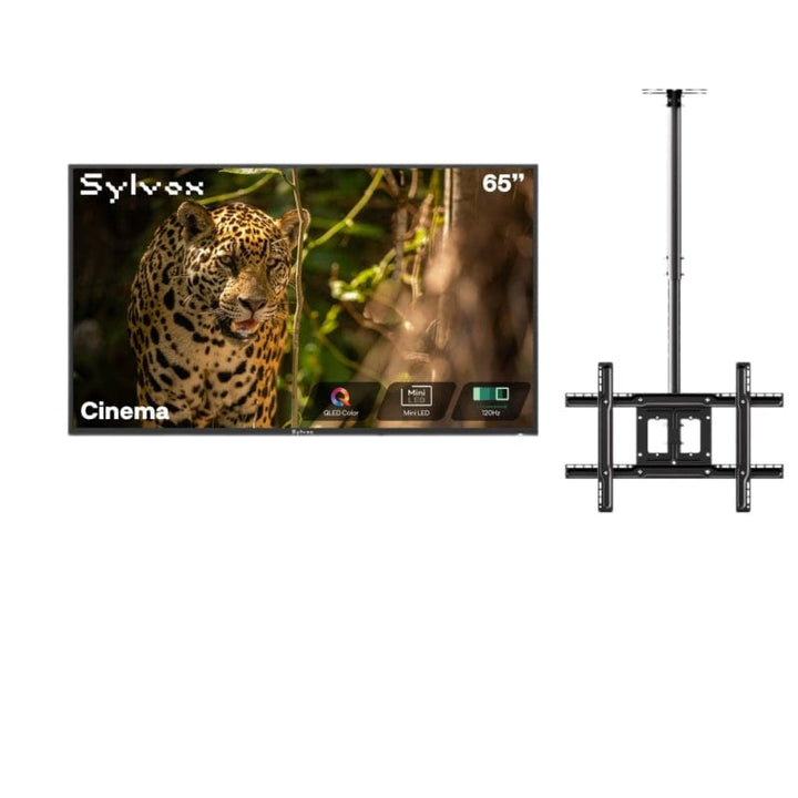 Sylvox Cinema 65" Helio QLED 120HZ Outdoor TV(2500Nits)-2025 Model