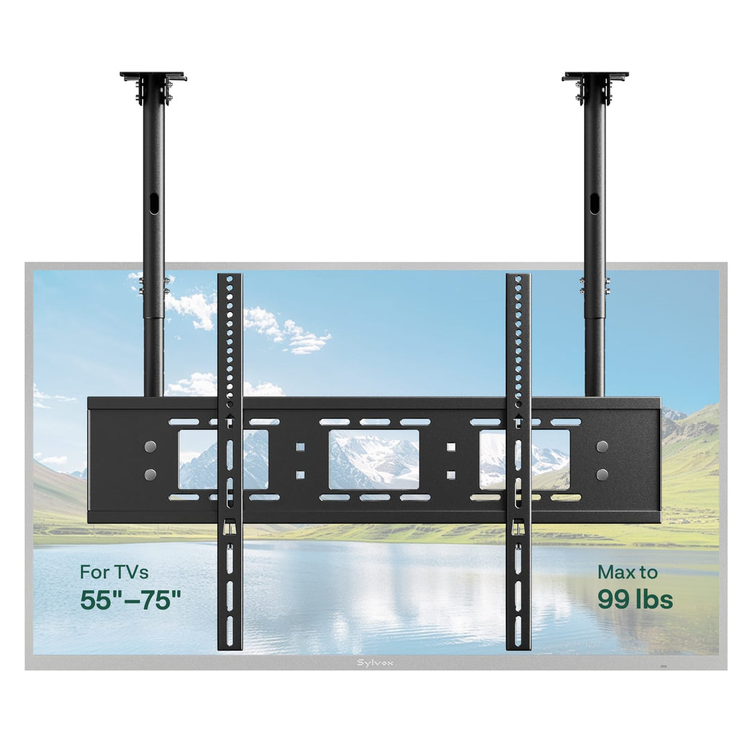 Outdoor TV Dual-Pole Ceiling Mount