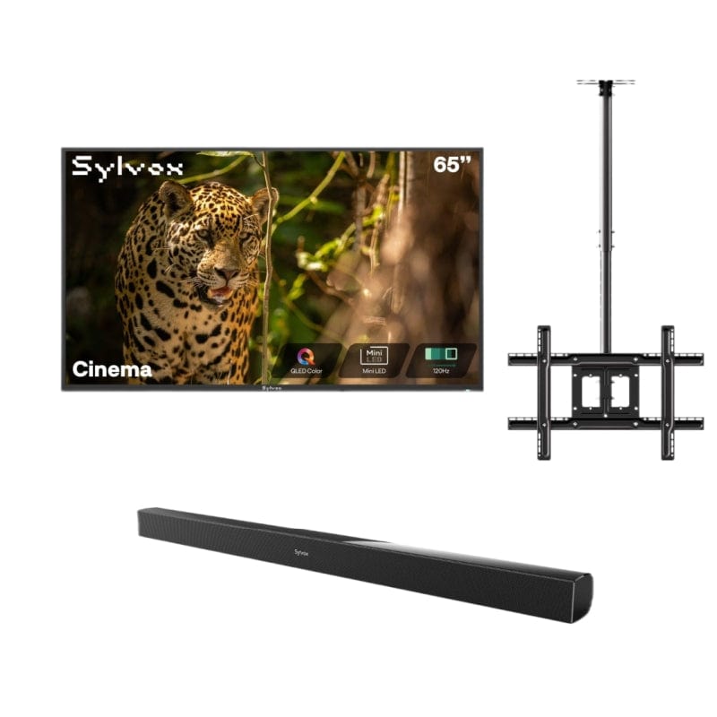 Sylvox Cinema 65" Helio QLED 120HZ Outdoor TV(2500Nits)-2025 Model