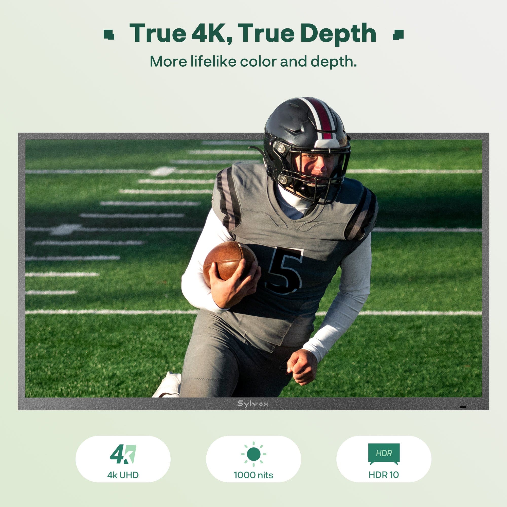 65″ Deck Pro 3.0 LOCK Partial Sun Outdoor TV with Anti-Theft Lock