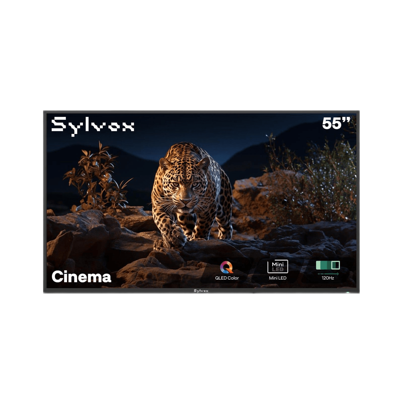 Sylvox Cinema 55