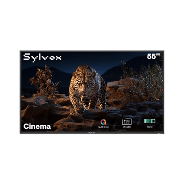 55-inch Cinema Full Sun Outdoor TV