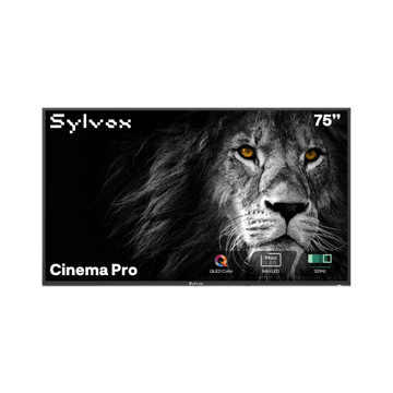 75-inch Cinema Pro Full Sun Outdoor TV