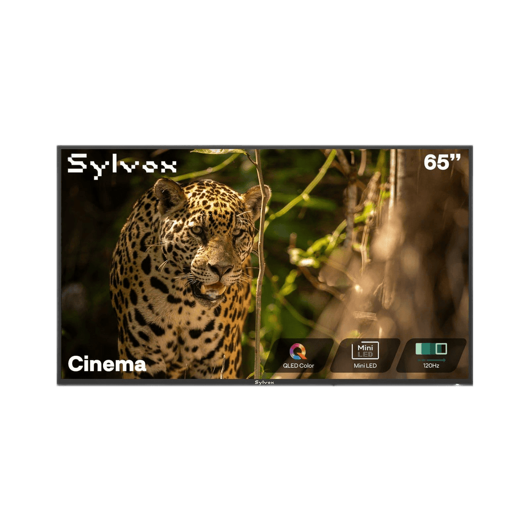 Sylvox Cinema 65" Helio QLED 120HZ Outdoor TV(2500Nits)-2025 Model