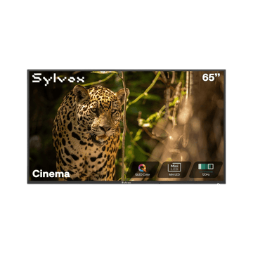 65-inch Cinema Full Sun Outdoor TV