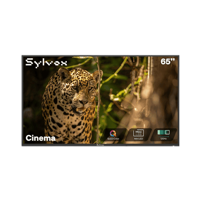 Sylvox Cinema 65