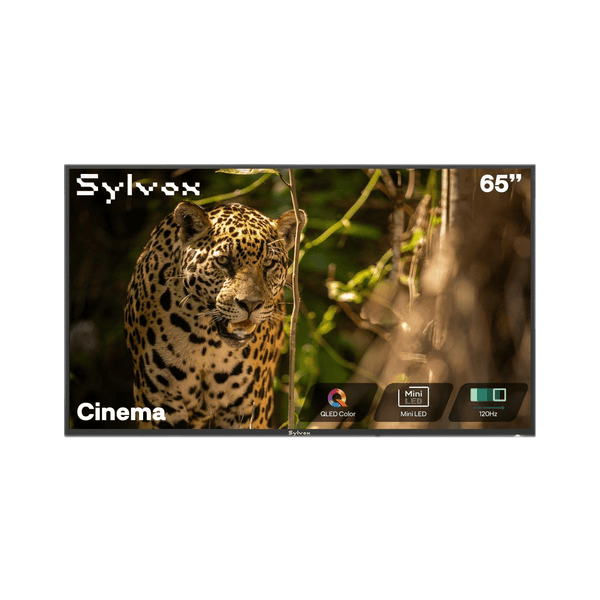 Cinema Series 65