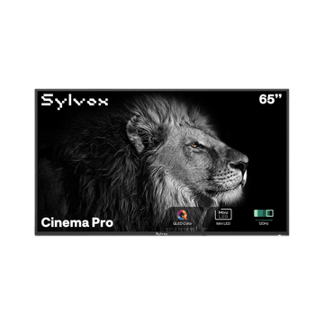 65-inch Cinema Pro Full Sun Outdoor TV