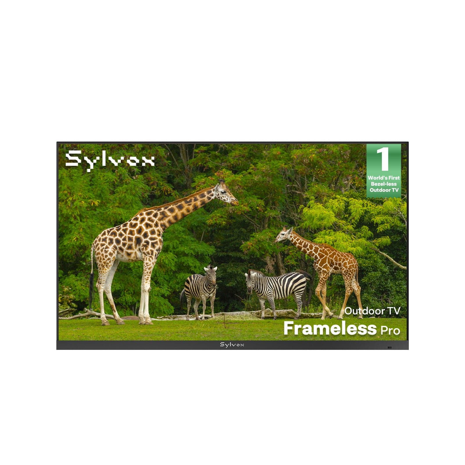 43″ Frameless Pro Full Sun Outdoor TV | Sylvox Waterproof Smart