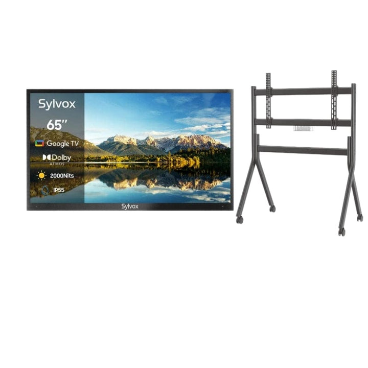 65" 2000Nit Google Outdoor TV - 2024 Pool Pro 2.0 Series(NEW)