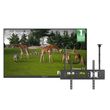 55" Outdoor TV(Google TV) - 2026 Frameless Pro Series
