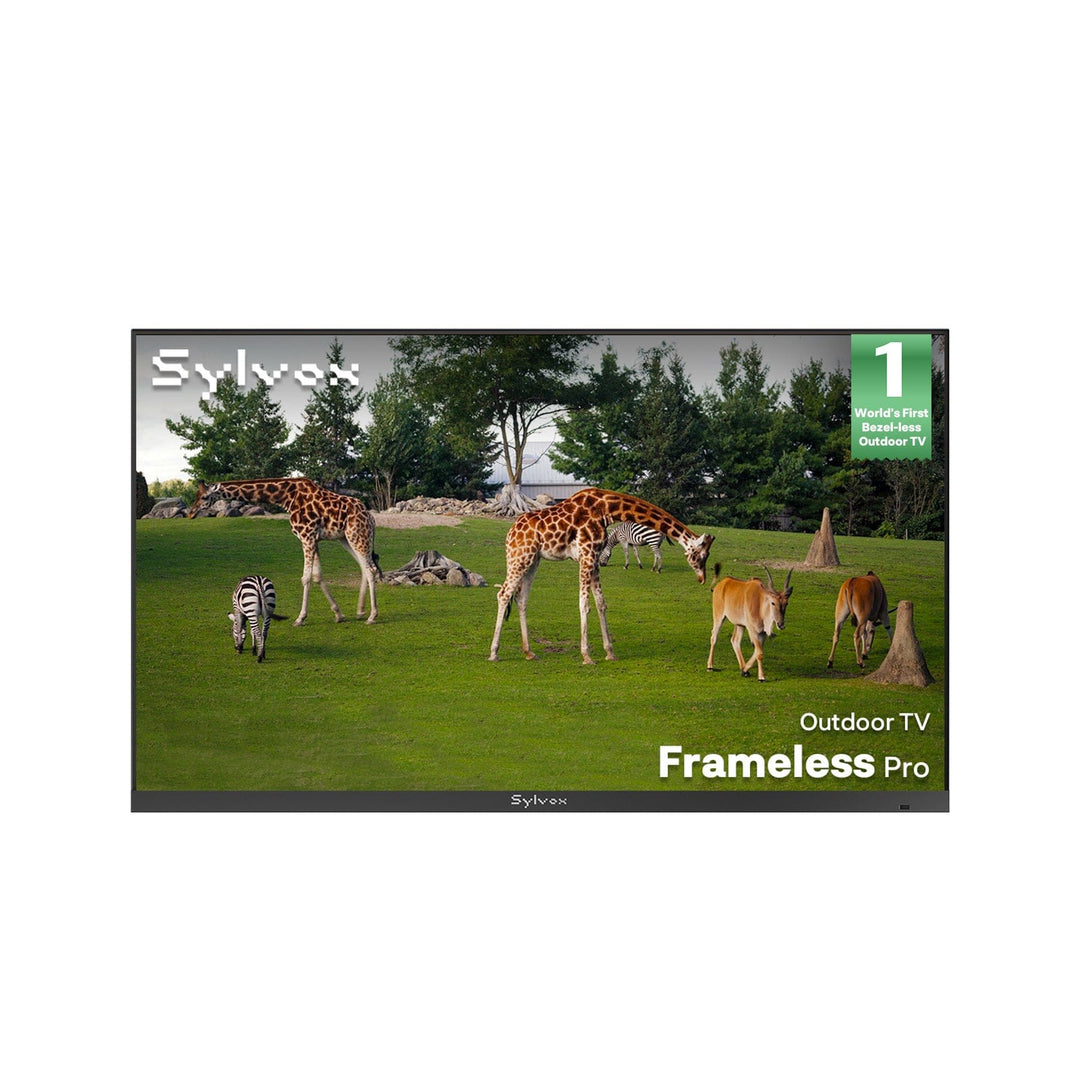 55" Outdoor TV(Google TV) - 2026 Frameless Pro Series