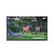 65" Outdoor TV(Google TV) - 2026 Frameless Pro Series