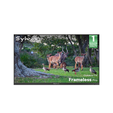 65-inch Frameless Pro Full Sun Outdoor TV