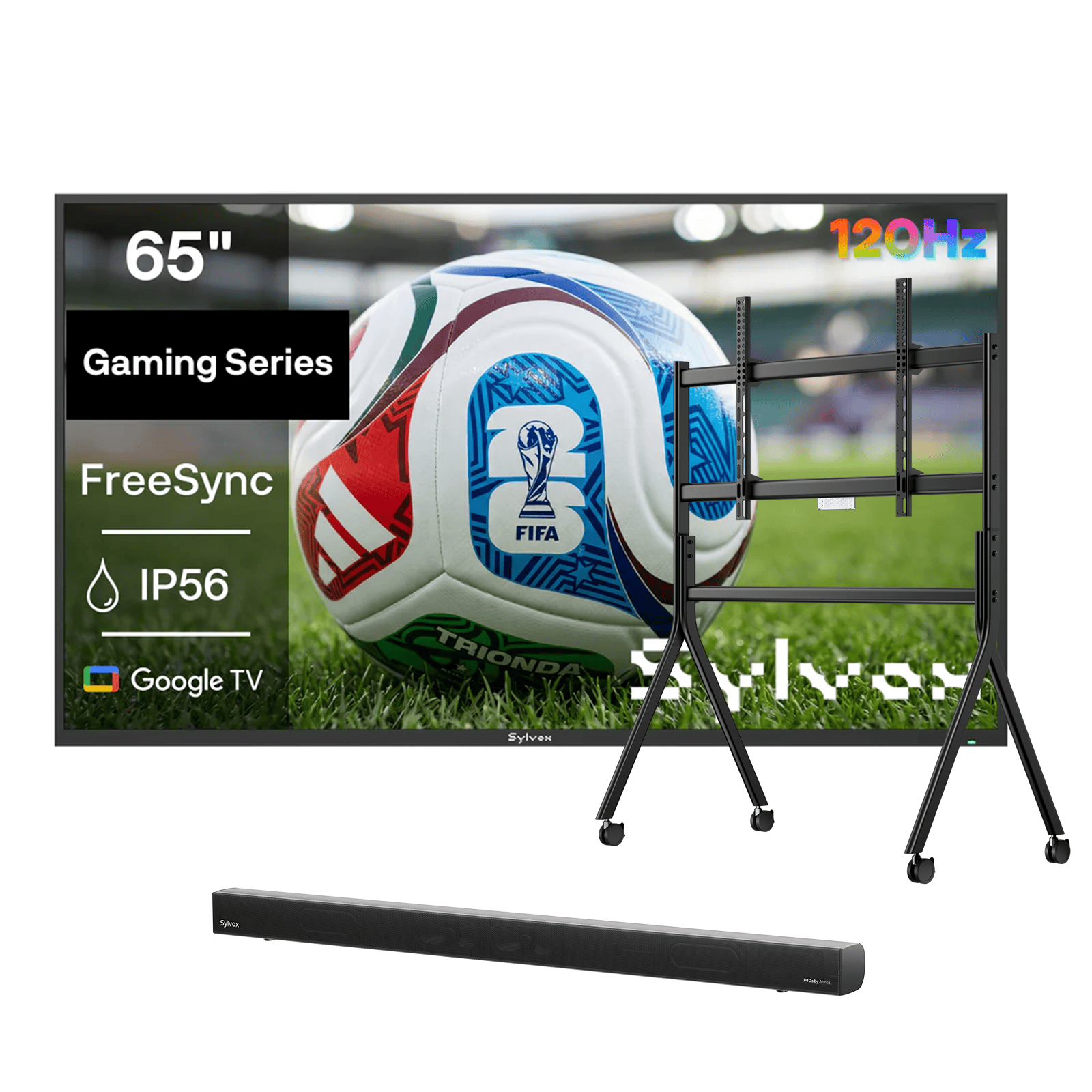 TＶ 65