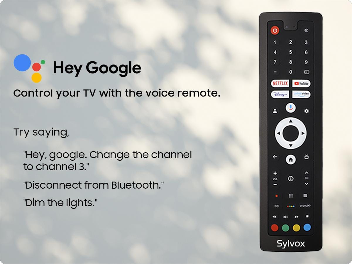 Voice control features on the outdoor television