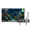 75" Outdoor TV(Google TV) - 2026 Frameless Series