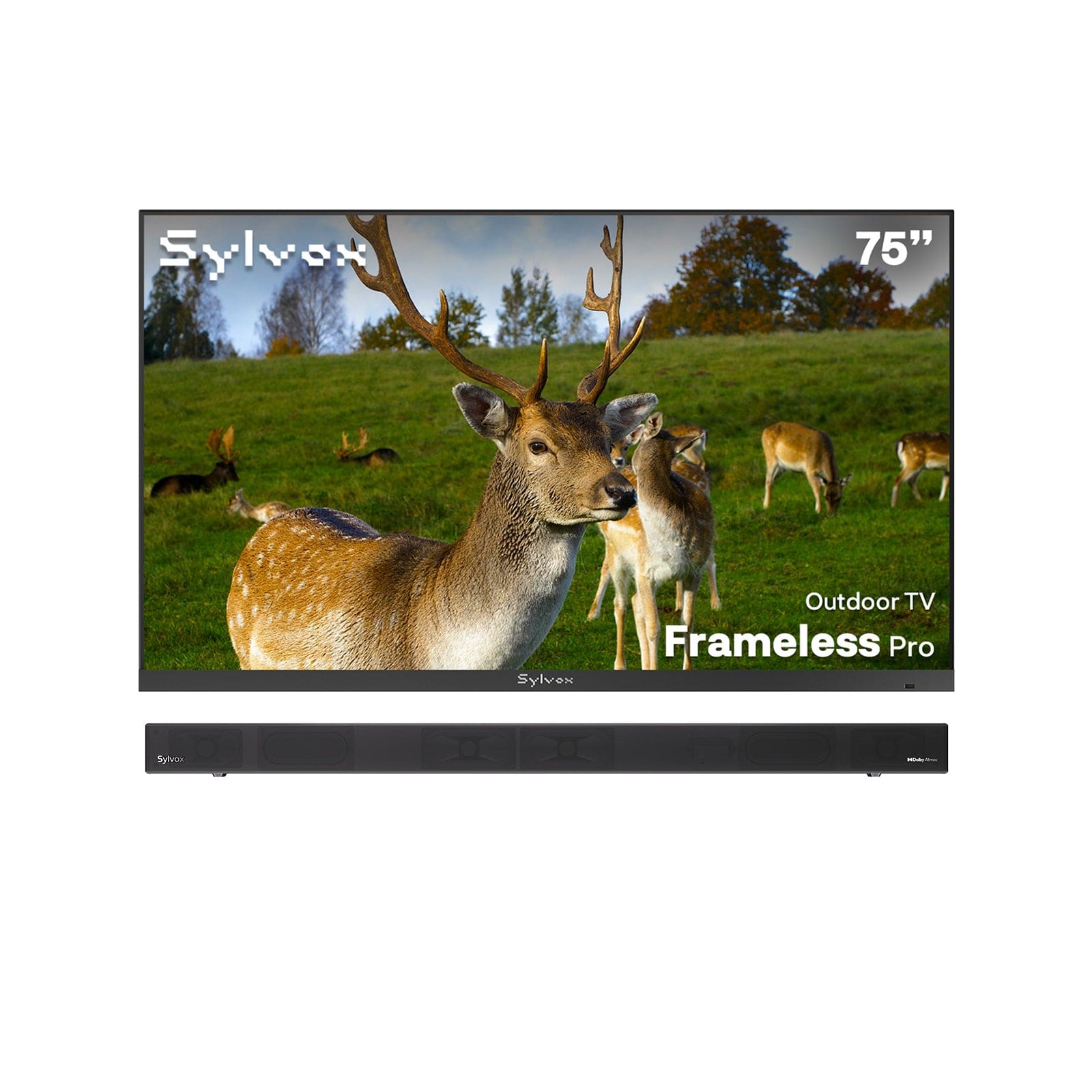 75″ Frameless Pro Full Sun Outdoor TV | Sylvox Waterproof Smart