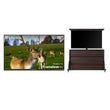 75" Outdoor TV(Google TV) - 2026 Frameless Pro Series