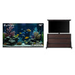 75" Outdoor TV(Google TV) - 2026 Frameless Series
