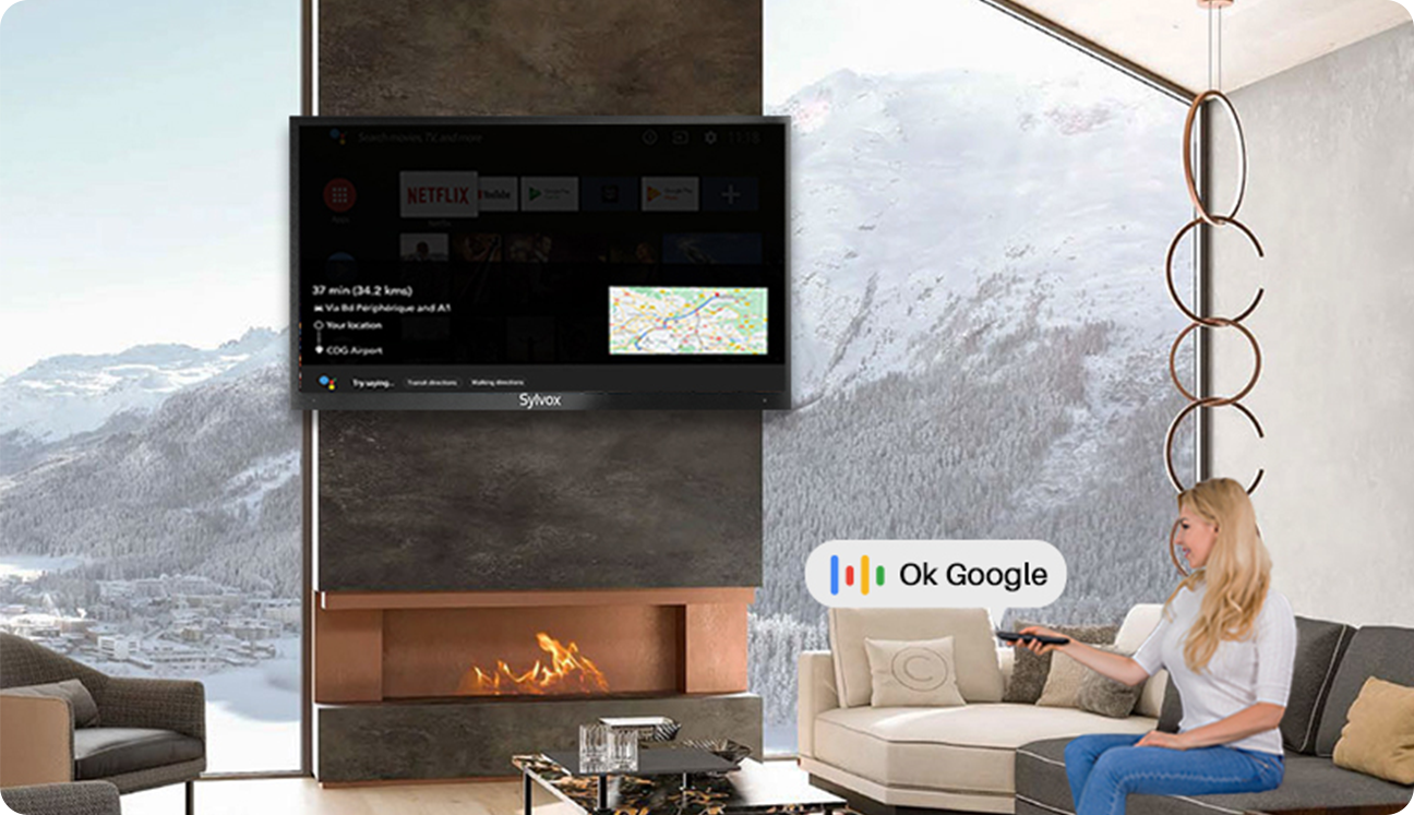 Outdoor TV-Google Assistant