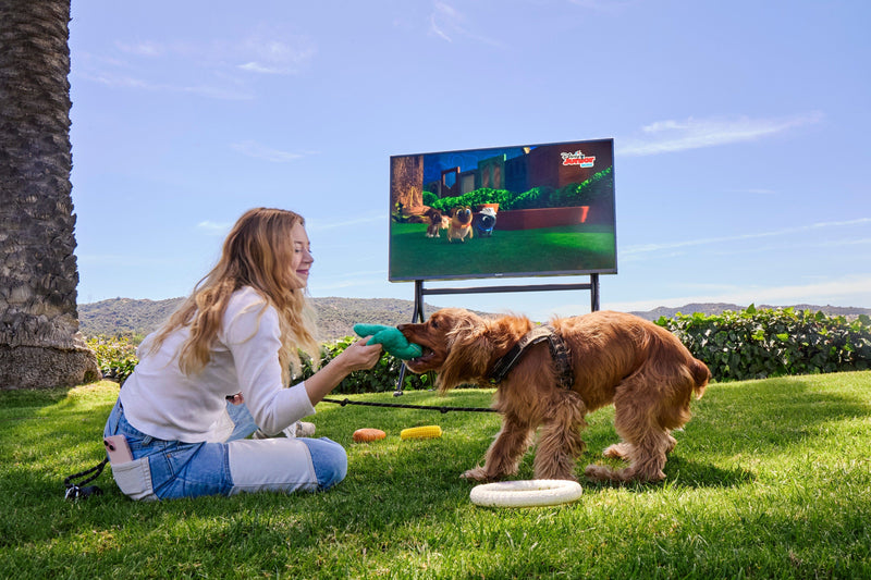 Full Sun (Direct Sunlight)