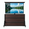 65" Cabinet + Pool Pro 3.0 55"(Full Sun)