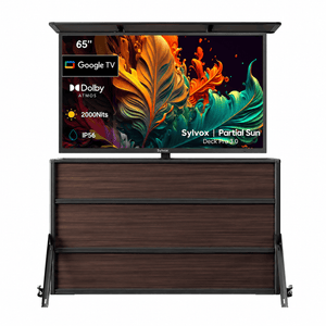 65" Cabinet + Pool Pro QLED 3.0 55"(Full Sun)