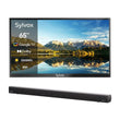65" 2000Nit Google Outdoor TV - 2024 Pool Pro 2.0 Series