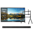 65" 2000Nit Google Outdoor TV - 2024 Pool Pro 2.0 Series