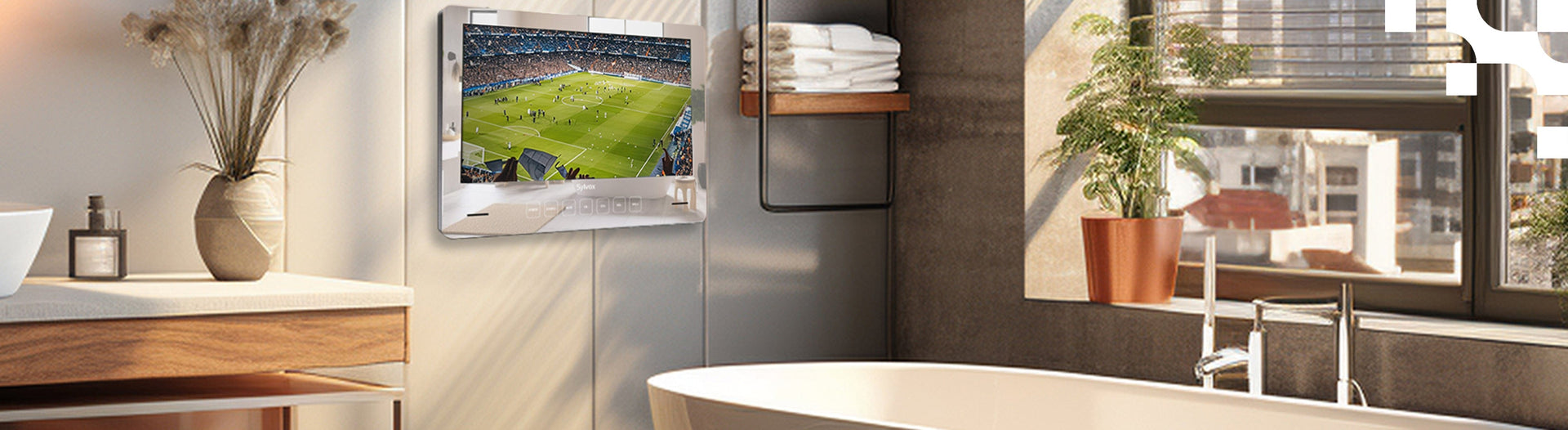 Bathroom TV