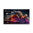 65" Advanced QLED Google Outdoor TV - 2026 Deck Pro QLED 3.0